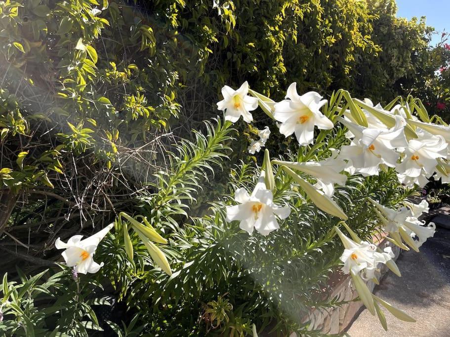 Villa Puerto De La Luz Mijas Dış mekan fotoğraf