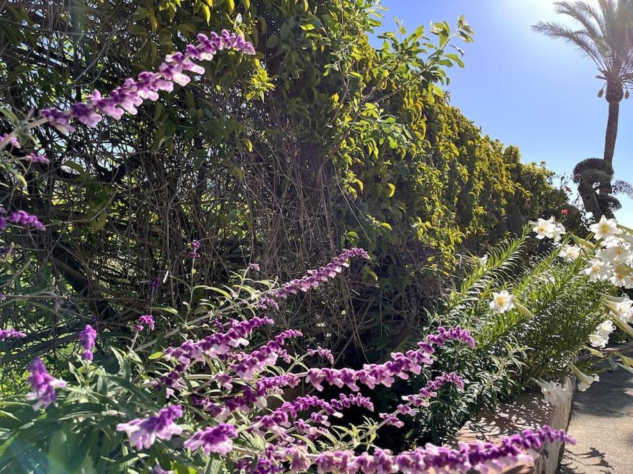 Villa Puerto De La Luz Mijas Dış mekan fotoğraf